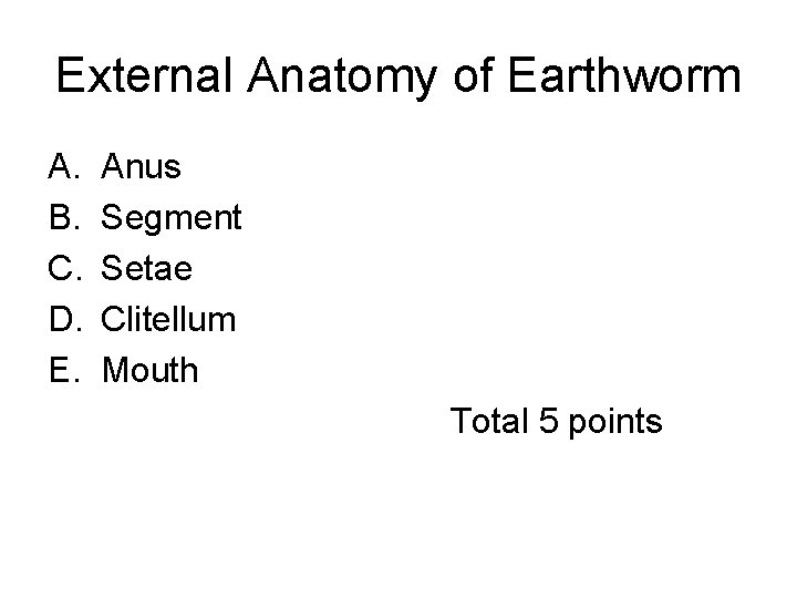 External Anatomy of Earthworm A. Anus B. Segment C. Setae D. Clitellum E. Mouth External Anatomy of Earthworm A. Anus B. Segment C. Setae D. Clitellum E. Mouth