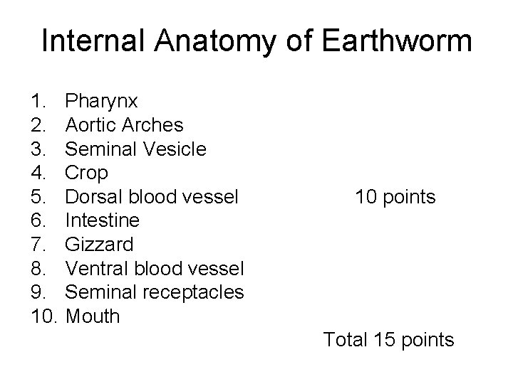 Internal Anatomy of Earthworm 1. Pharynx 2. Aortic Arches 3. Seminal Vesicle 4. Crop