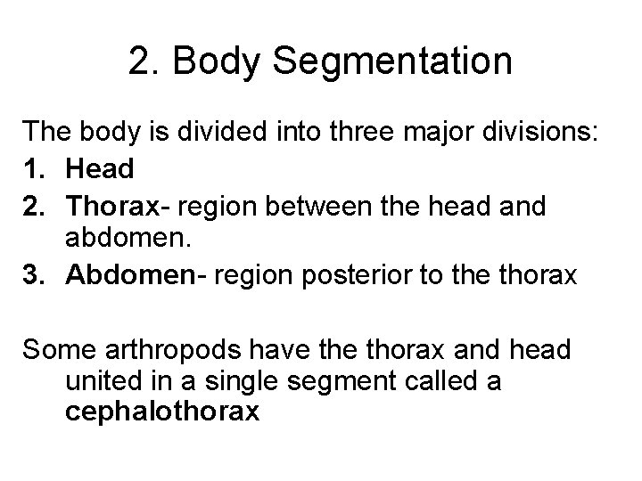 2. Body Segmentation The body is divided into three major divisions: 1. Head 2.