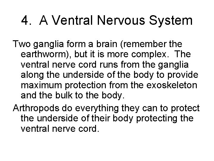 4. A Ventral Nervous System Two ganglia form a brain (remember the earthworm), but