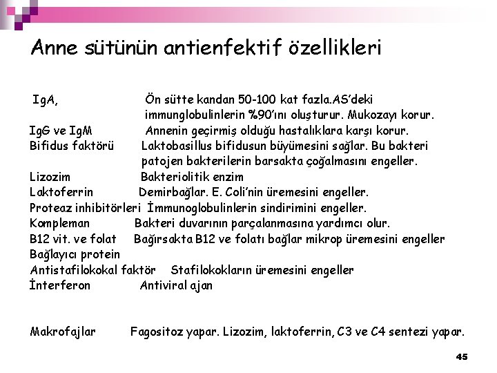 Anne sütünün antienfektif özellikleri Ig. A, Ön sütte kandan 50 -100 kat fazla. AS’deki