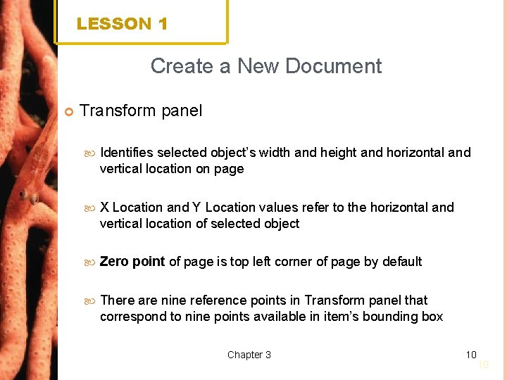 LESSON 1 Create a New Document Transform panel Identifies selected object’s width and height