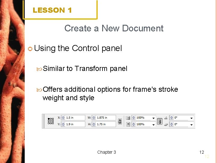 LESSON 1 Create a New Document Using the Control panel Similar to Transform panel
