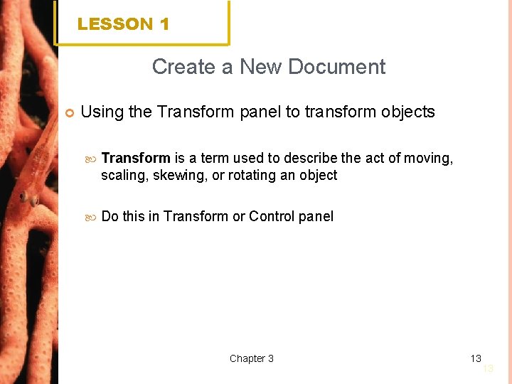LESSON 1 Create a New Document Using the Transform panel to transform objects Transform