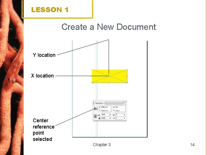 LESSON 1 Create a New Document Y location X location Center reference point selected