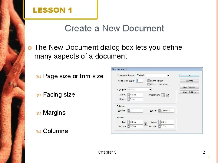 LESSON 1 Create a New Document The New Document dialog box lets you define