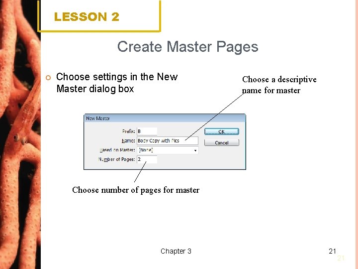 LESSON 2 Create Master Pages Choose settings in the New Master dialog box Choose