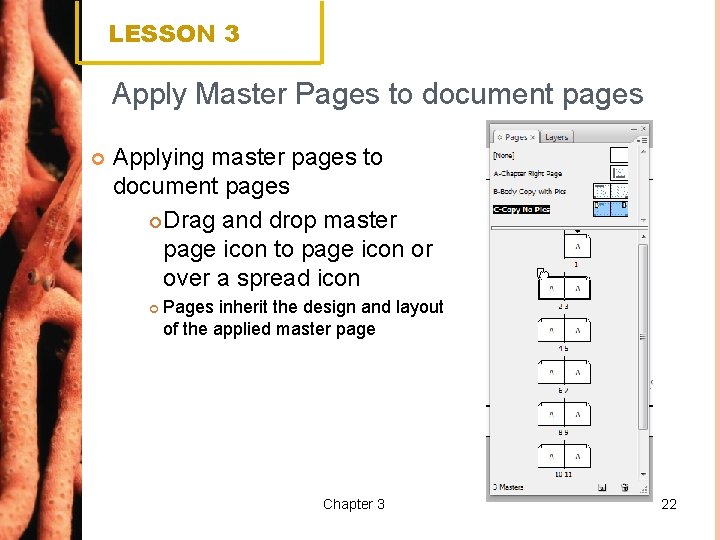 LESSON 3 Apply Master Pages to document pages Applying master pages to document pages