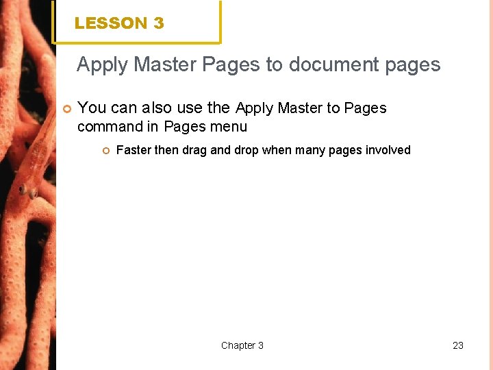 LESSON 3 Apply Master Pages to document pages You can also use the Apply