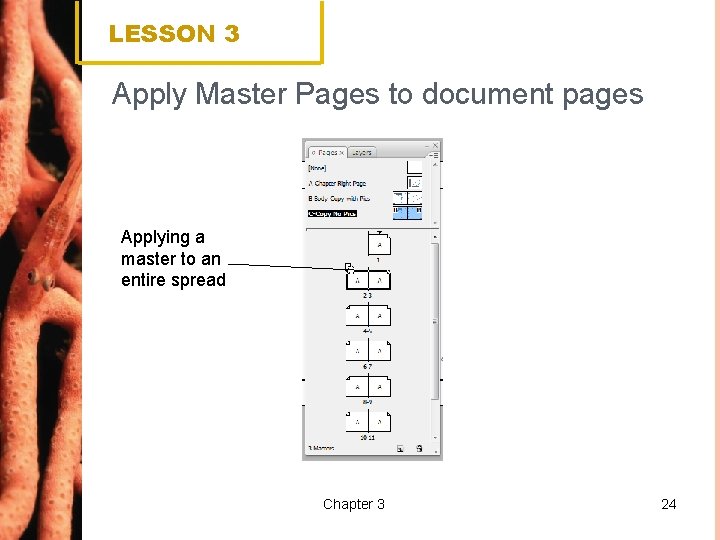 LESSON 3 Apply Master Pages to document pages Applying a master to an entire