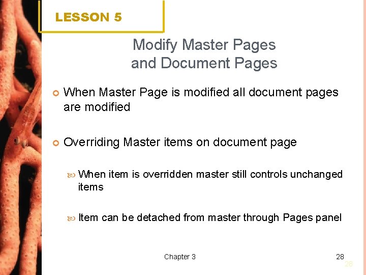 LESSON 5 Modify Master Pages and Document Pages When Master Page is modified all