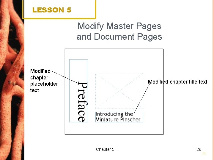 LESSON 5 Modify Master Pages and Document Pages Modified chapter placeholder text Modified chapter