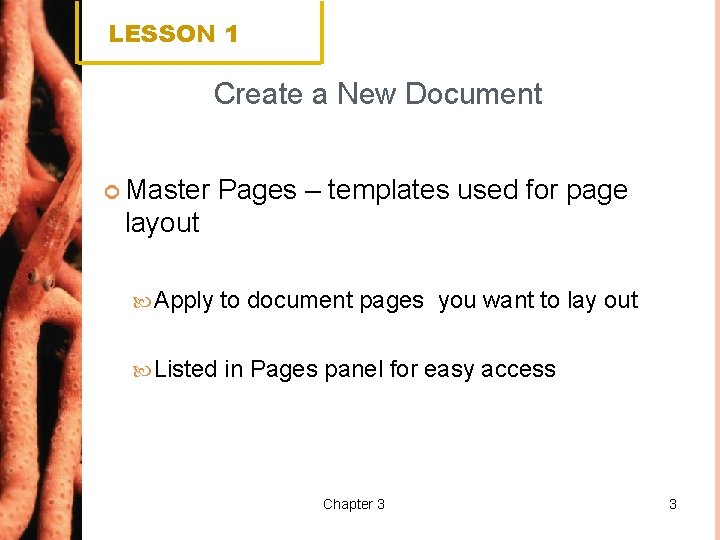 LESSON 1 Create a New Document Master Pages – templates used for page layout