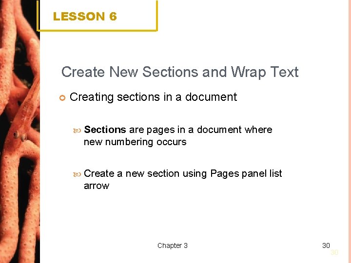 LESSON 6 Create New Sections and Wrap Text Creating sections in a document Sections