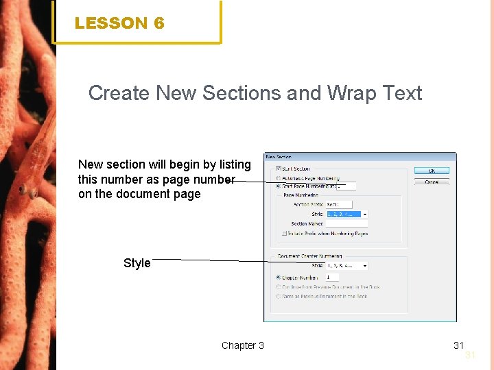 LESSON 6 Create New Sections and Wrap Text New section will begin by listing