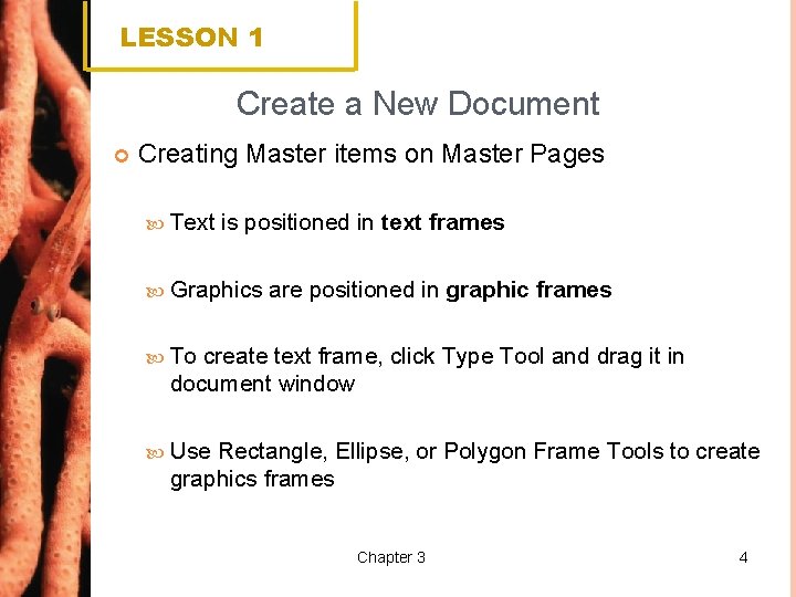LESSON 1 Create a New Document Creating Master items on Master Pages Text is