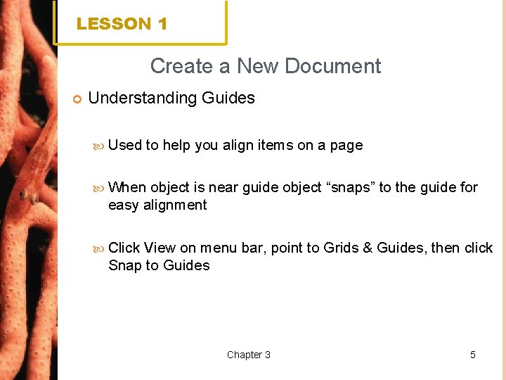 LESSON 1 Create a New Document Understanding Guides Used to help you align items