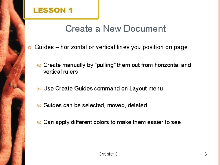 LESSON 1 Create a New Document Guides – horizontal or vertical lines you position