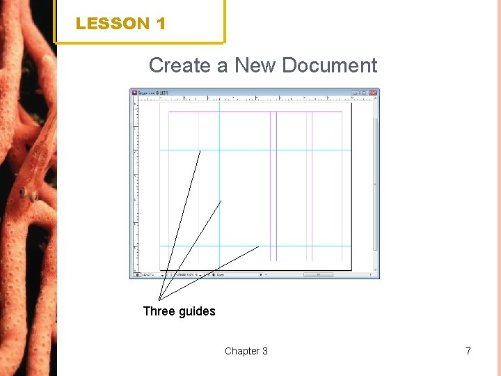 LESSON 1 Create a New Document Three guides Chapter 3 7 