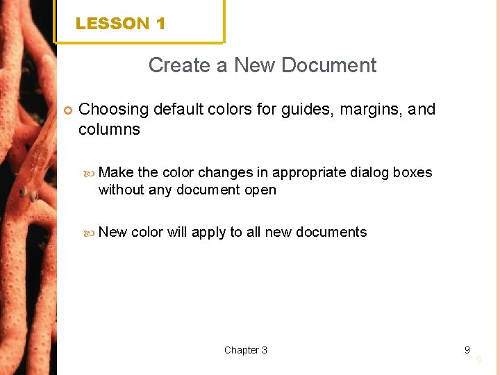 LESSON 1 Create a New Document Choosing default colors for guides, margins, and columns