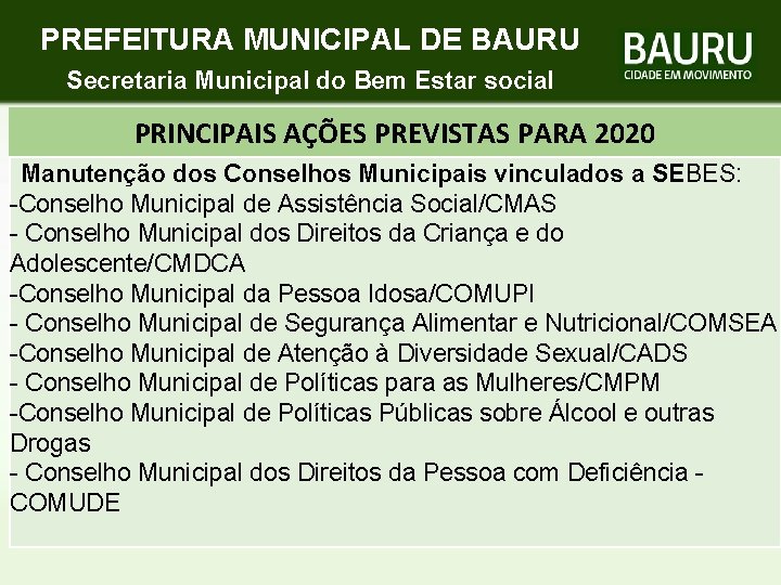 PREFEITURA MUNICIPAL DE BAURU Secretaria Municipal do Bem Estar social PRINCIPAIS AÇÕES PREVISTAS PARA