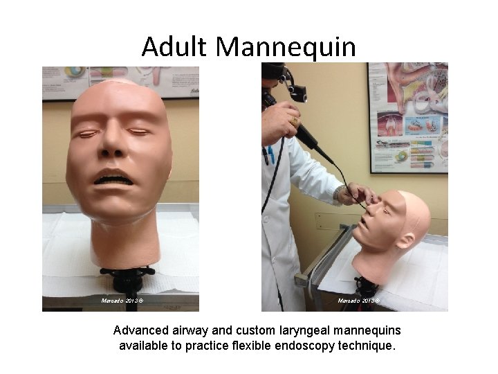 Adult Mannequin Mercado 2013 © Advanced airway and custom laryngeal mannequins available to practice