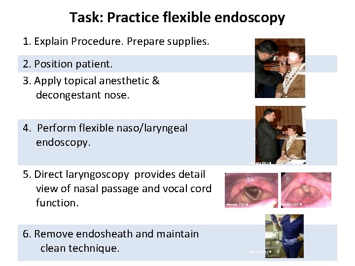 Task: Practice flexible endoscopy 1. Explain Procedure. Prepare supplies. 2. Position patient. 3. Apply