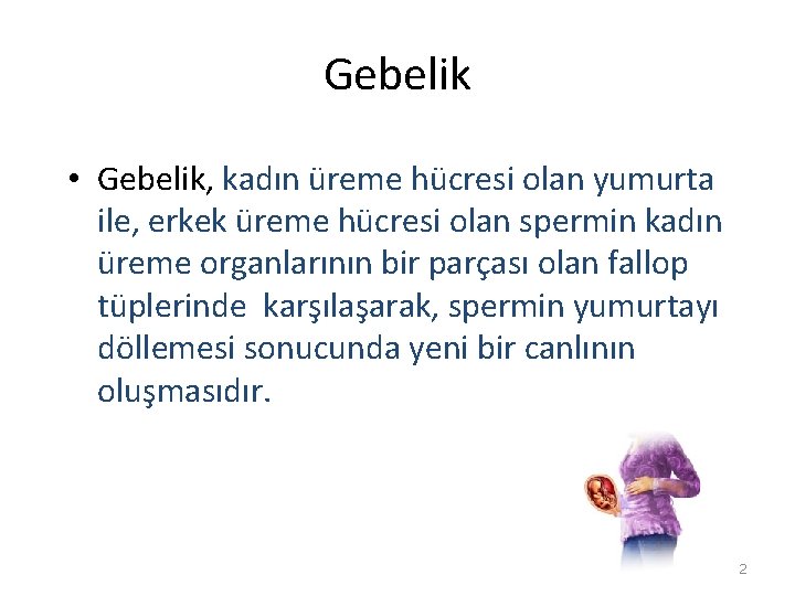 Gebelik • Gebelik, kadın üreme hücresi olan yumurta ile, erkek üreme hücresi olan spermin