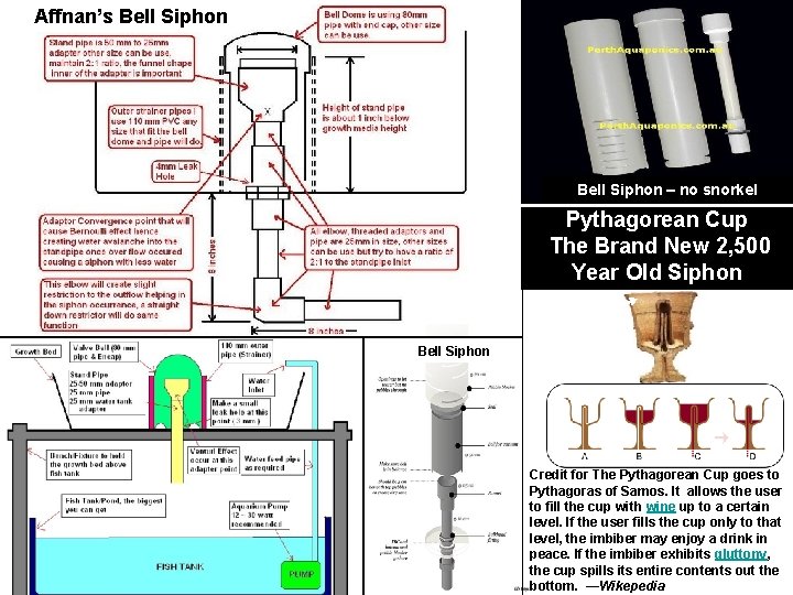 Affnan’s Bell Siphon – no snorkel Pythagorean Cup The Brand New 2, 500 Year