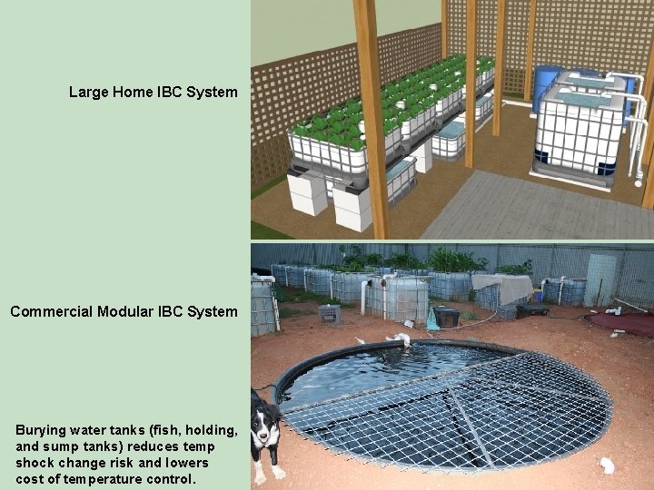 Large Home IBC System Commercial Modular IBC System Burying water tanks (fish, holding, and