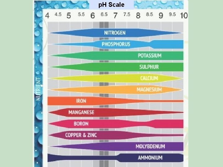 p. H Scale 