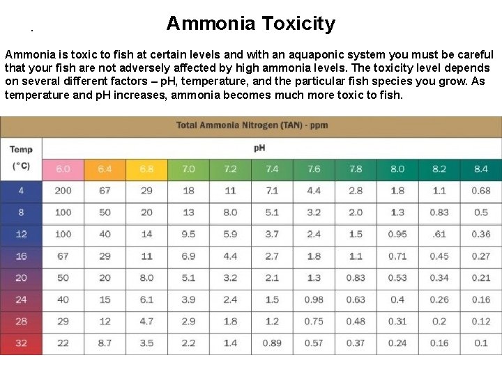 . Ammonia Toxicity Ammonia is toxic to fish at certain levels and with an