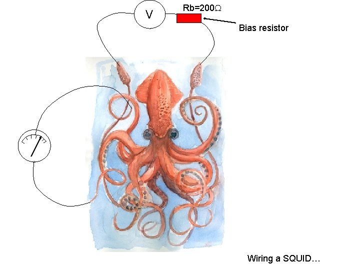 V Rb=200 W Bias resistor Wiring a SQUID… 