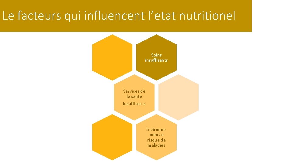 Le facteurs qui influencent l’etat nutritionel Soins insuffisants Services de la santé insuffisants Environnement