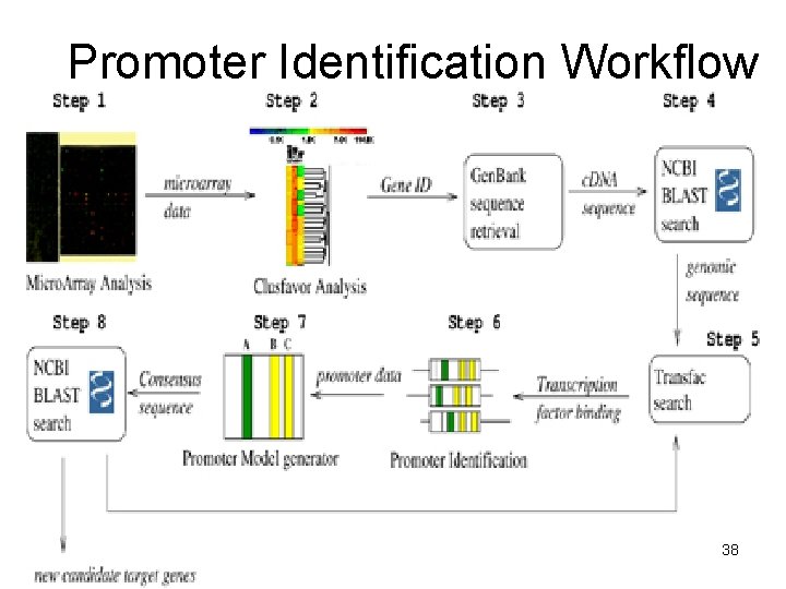 Promoter Identification Workflow 38 