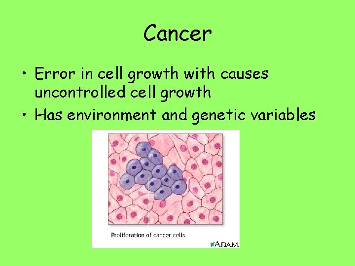 Cancer • Error in cell growth with causes uncontrolled cell growth • Has environment