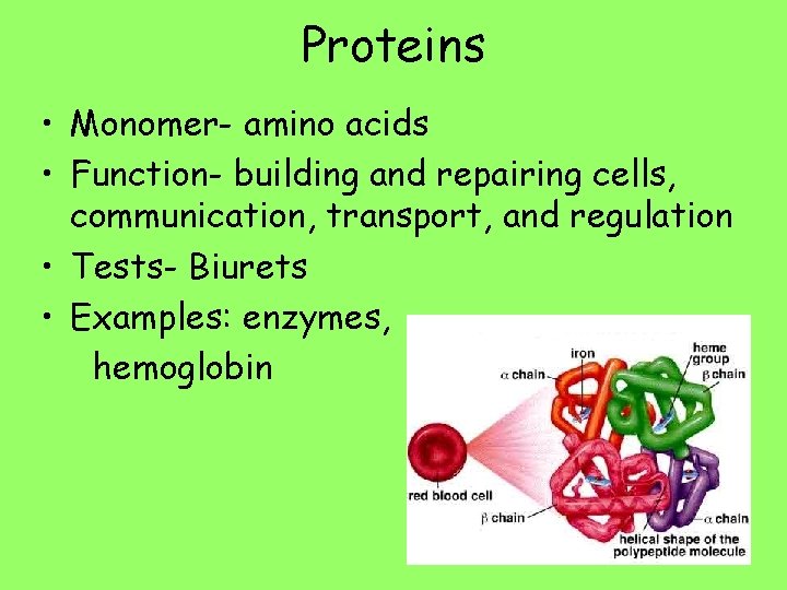 Proteins • Monomer- amino acids • Function- building and repairing cells, communication, transport, and