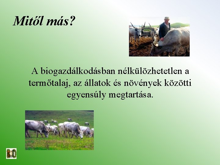 Mitől más? A biogazdálkodásban nélkülözhetetlen a termőtalaj, az állatok és növények közötti egyensúly megtartása.