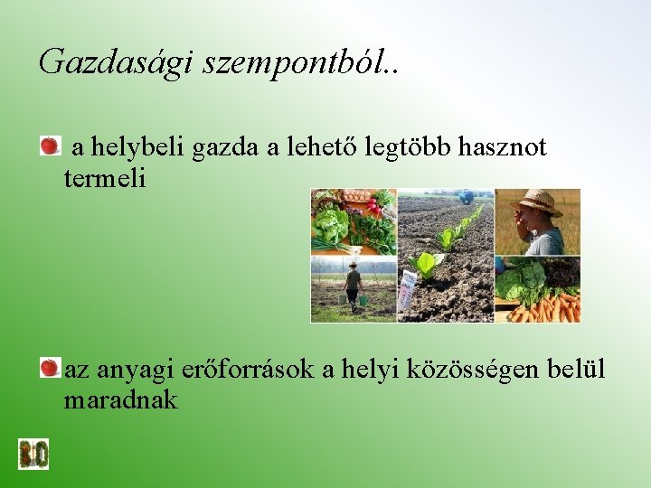 Gazdasági szempontból. . a helybeli gazda a lehető legtöbb hasznot termeli az anyagi erőforrások