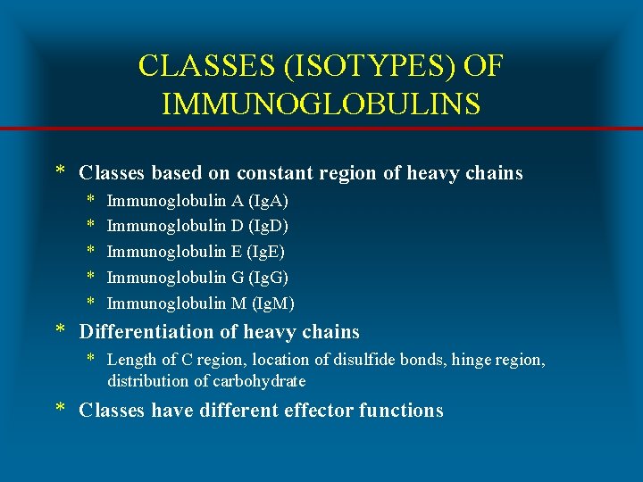 CLASSES (ISOTYPES) OF IMMUNOGLOBULINS * Classes based on constant region of heavy chains *