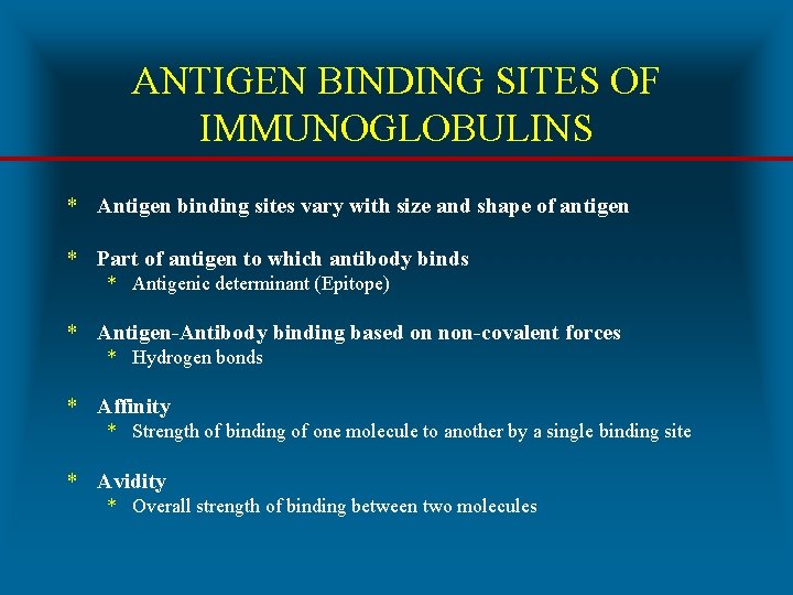 ANTIGEN BINDING SITES OF IMMUNOGLOBULINS * Antigen binding sites vary with size and shape