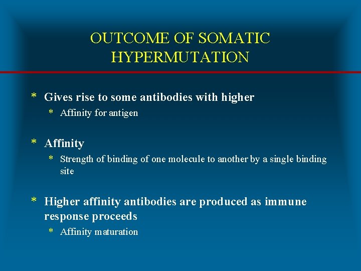OUTCOME OF SOMATIC HYPERMUTATION * Gives rise to some antibodies with higher * Affinity