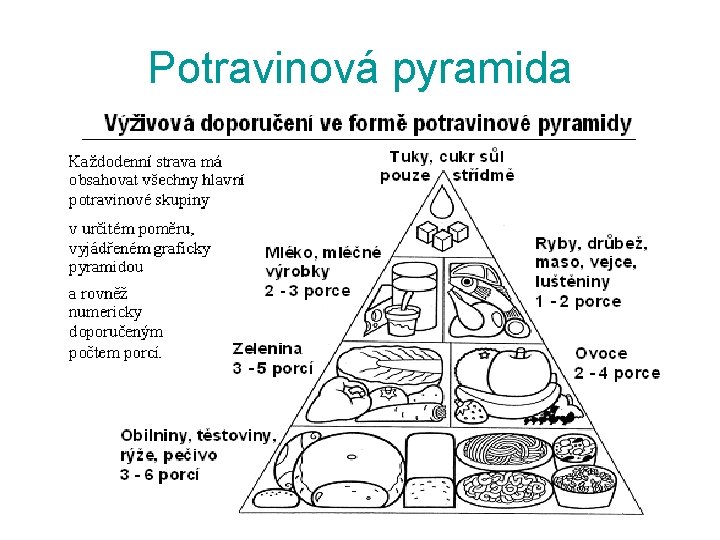 Potravinová pyramida 
