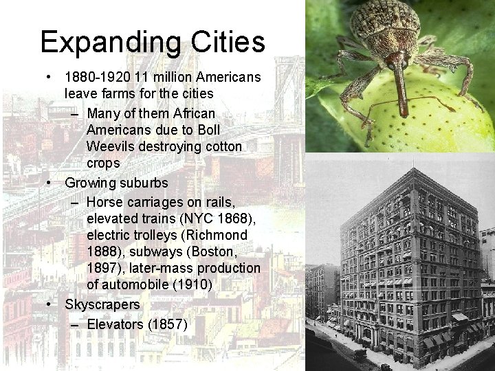 Expanding Cities • 1880 -1920 11 million Americans leave farms for the cities –