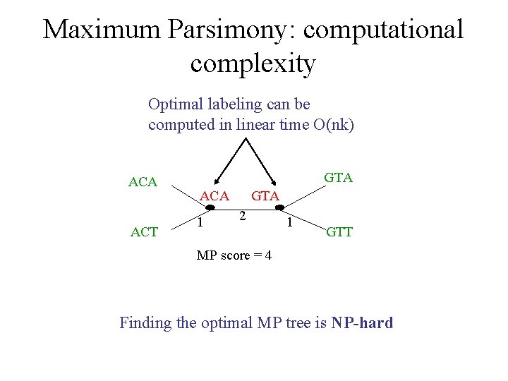 Maximum Parsimony: computational complexity Optimal labeling can be computed in linear time O(nk) ACA
