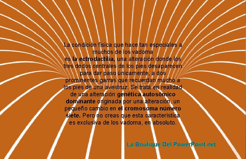 La condición física que hace tan especiales a muchos de los vadoma es la