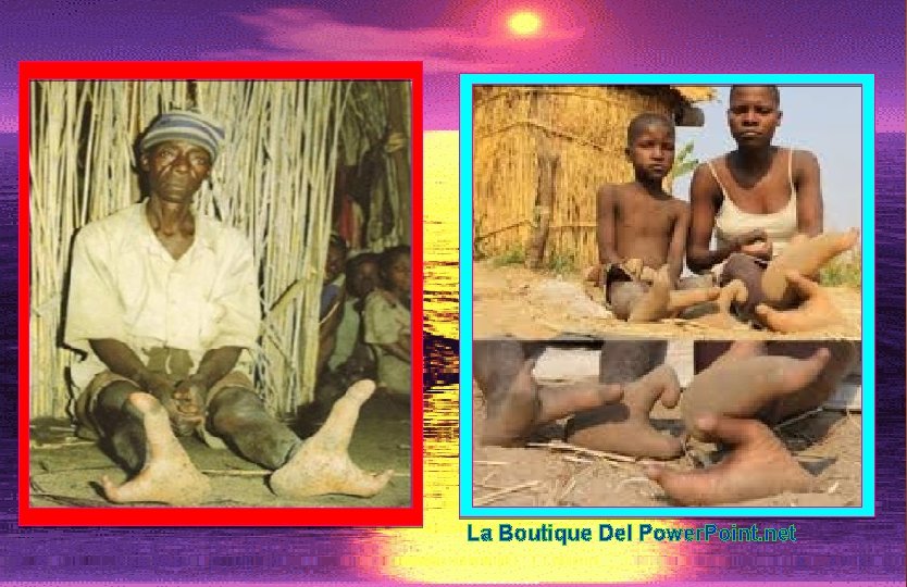 La Boutique Del Power. Point. net 
