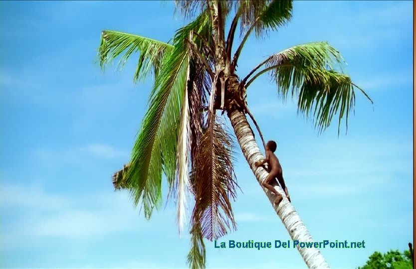La Boutique Del Power. Point. net 