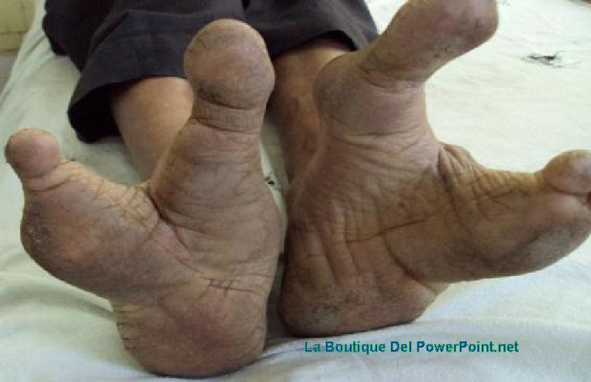 La Boutique Del Power. Point. net 