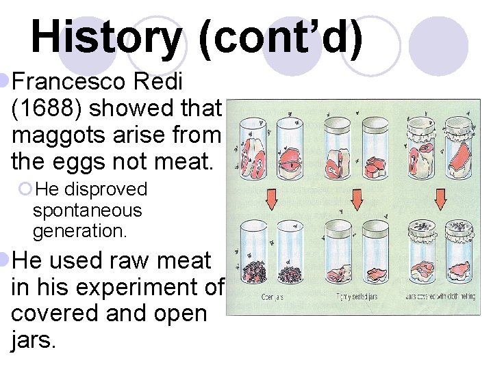 History (cont’d) l. Francesco Redi (1688) showed that maggots arise from the eggs not